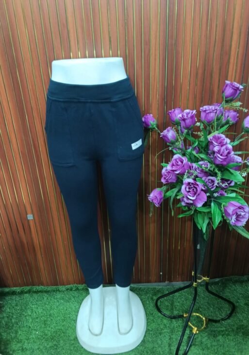 JEGGINGS PANT (WITH PACKET)
