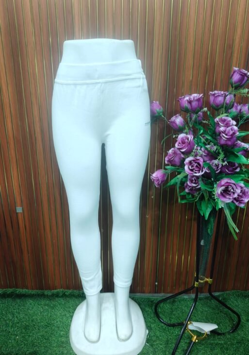 JEGGINGS PANT(WITHOUT PACKET)